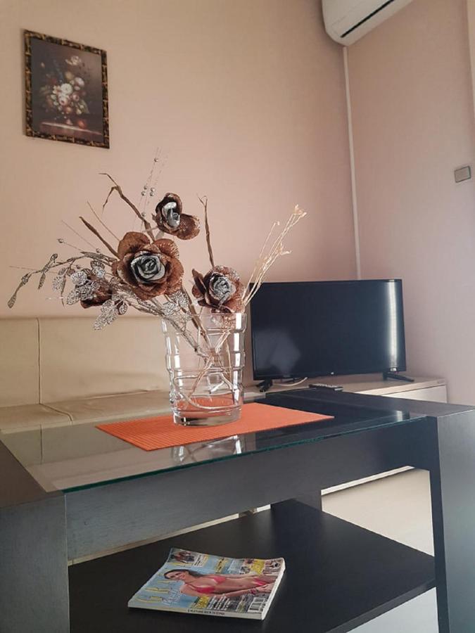 Villa Amsterdam オフリド エクステリア 写真