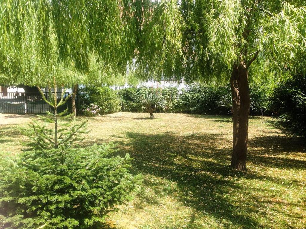 Villa Amsterdam オフリド エクステリア 写真